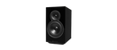 Moon Voice 22 Loudspeakers